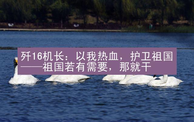 歼16机长：以我热血，护卫祖国——祖国若有需要，那就干