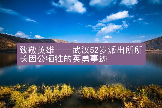 致敬英雄——武汉52岁派出所所长因公牺牲的英勇事迹