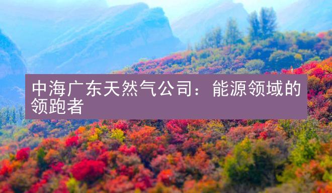 中海广东天然气公司：能源领域的领跑者