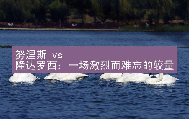 努涅斯 vs 隆达罗西：一场激烈而难忘的较量