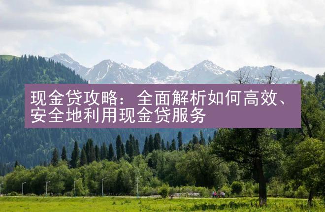 现金贷攻略：全面解析如何高效、安全地利用现金贷服务