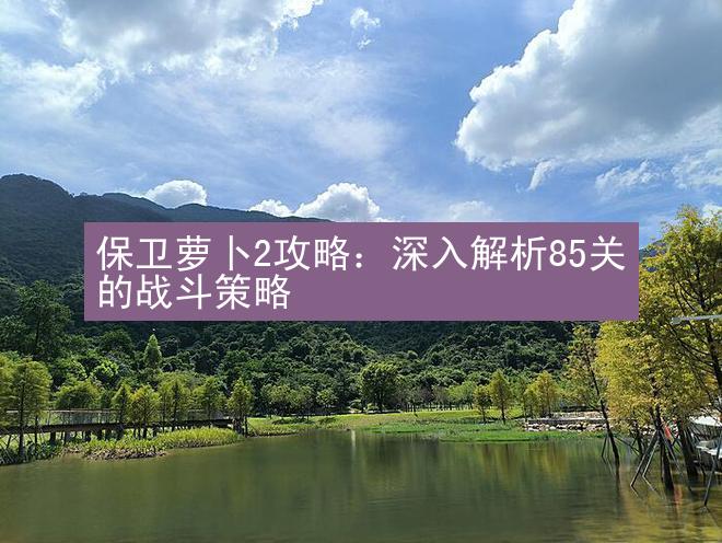 保卫萝卜2攻略：深入解析85关的战斗策略