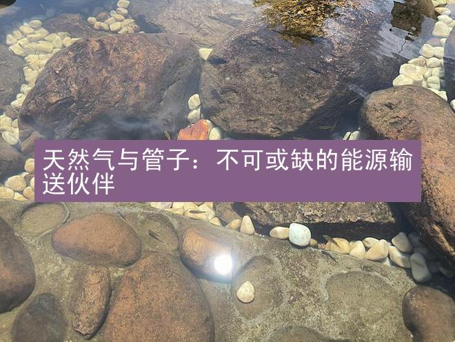 天然气与管子：不可或缺的能源输送伙伴