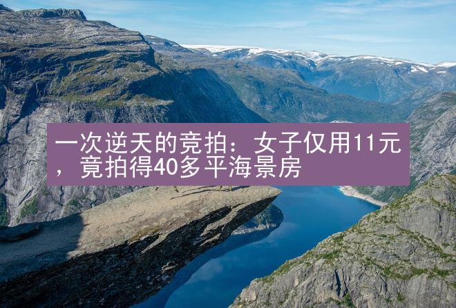 一次逆天的竞拍：女子仅用11元，竟拍得40多平海景房