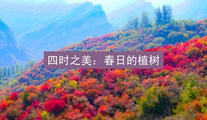 四时之美：春日的植树