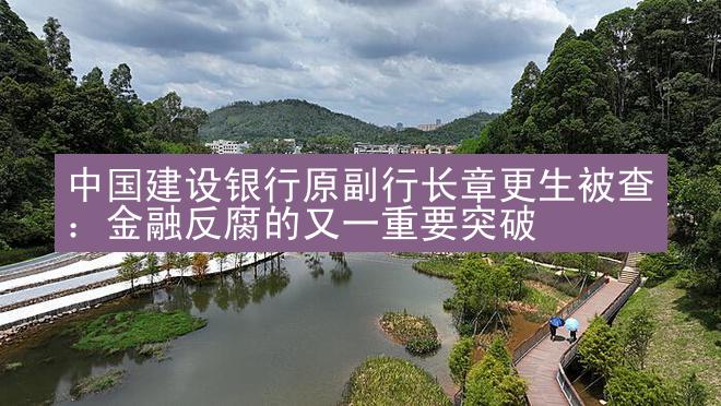 中国建设银行原副行长章更生被查：金融反腐的又一重要突破