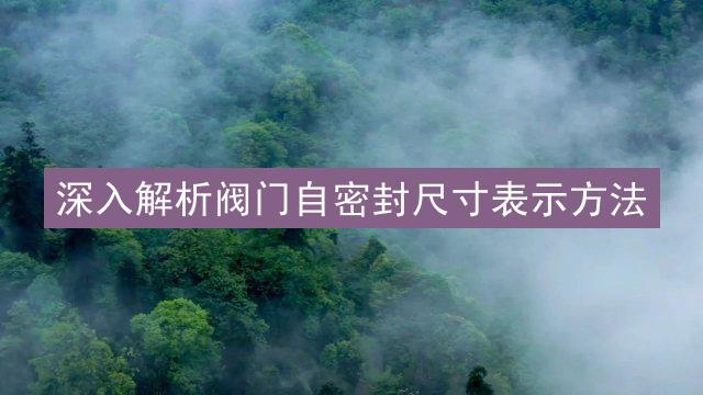 深入解析阀门自密封尺寸表示方法