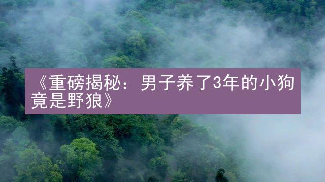 《重磅揭秘：男子养了3年的小狗竟是野狼》