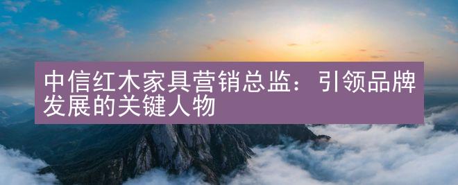 中信红木家具营销总监：引领品牌发展的关键人物