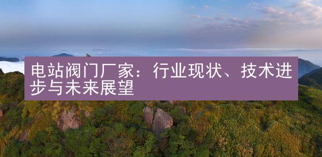 电站阀门厂家：行业现状、技术进步与未来展望