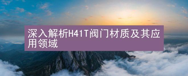 深入解析H41T阀门材质及其应用领域