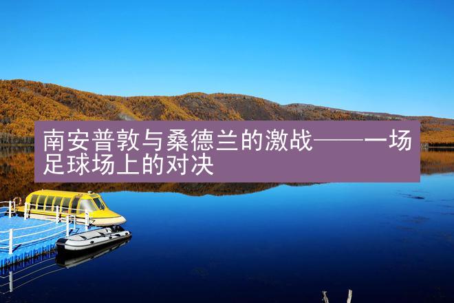 南安普敦与桑德兰的激战——一场足球场上的对决