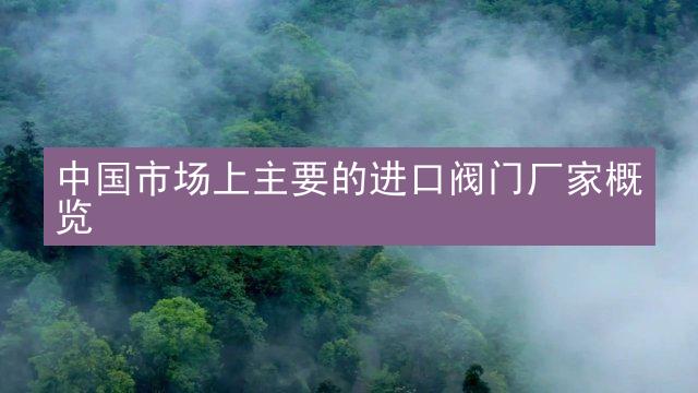 中国市场上主要的进口阀门厂家概览