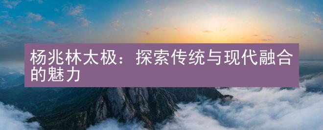 杨兆林太极：探索传统与现代融合的魅力