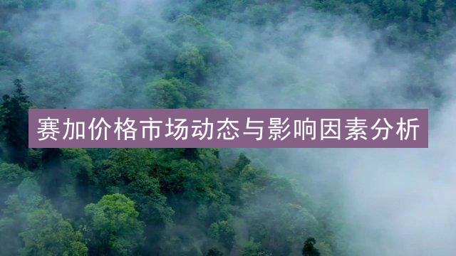 赛加价格市场动态与影响因素分析