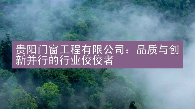 贵阳门窗工程有限公司：品质与创新并行的行业佼佼者