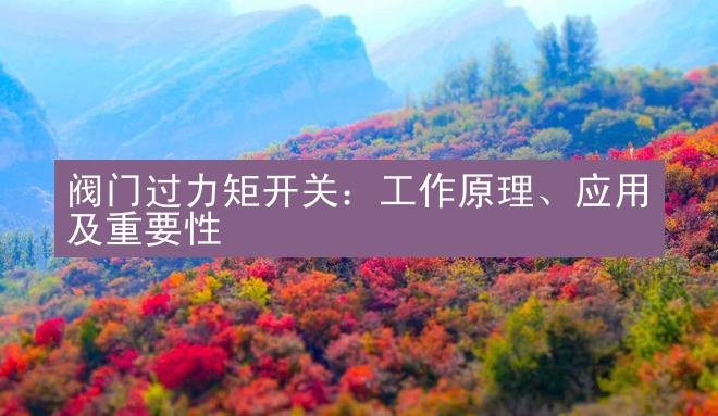 阀门过力矩开关：工作原理、应用及重要性