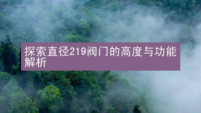 探索直径219阀门的高度与功能解析